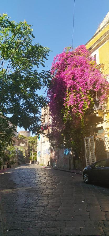 Lina'S House Apartment Catania Luaran gambar